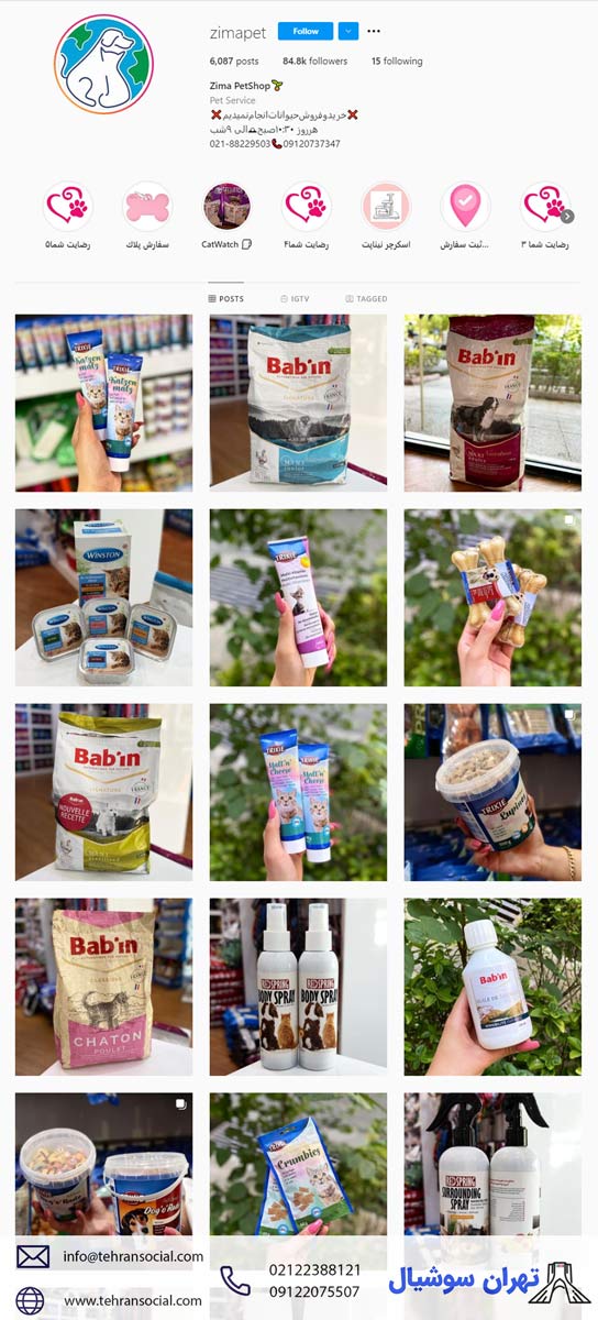 خرید پیج اینستا خرید گربه-پیج خرید گربه