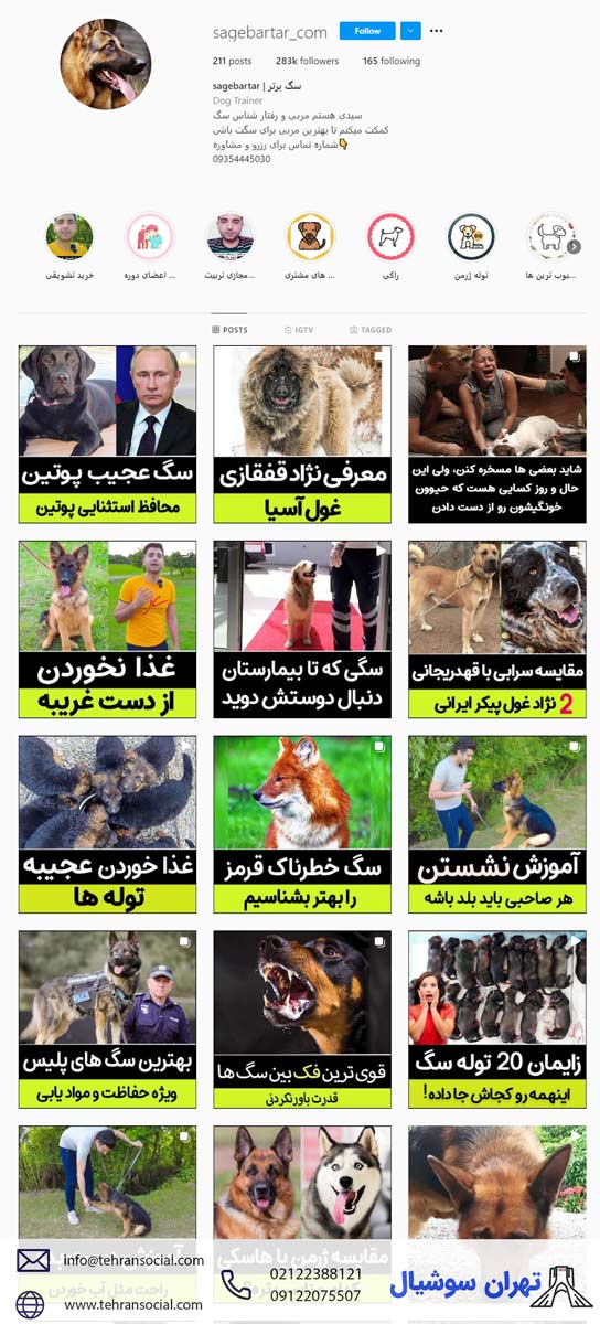 خرید پیج اینستا خرید سگ-پیج خرید سگ