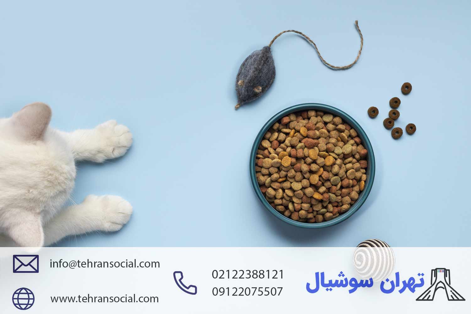 فروش پیج پت شاپ- خرید پیج اینستا برای پت شاپ